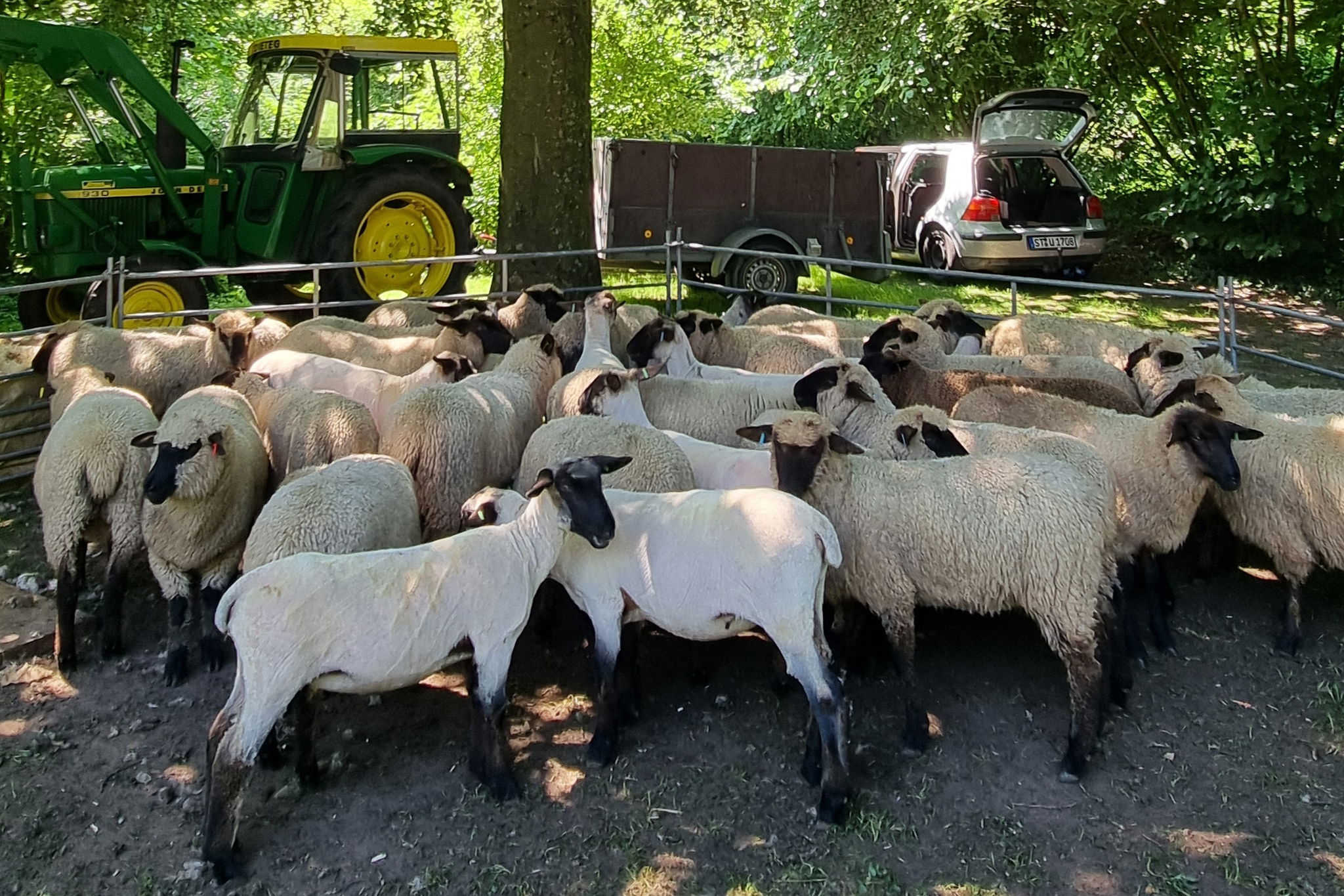 Verkehrsverein Wettringen e. V.