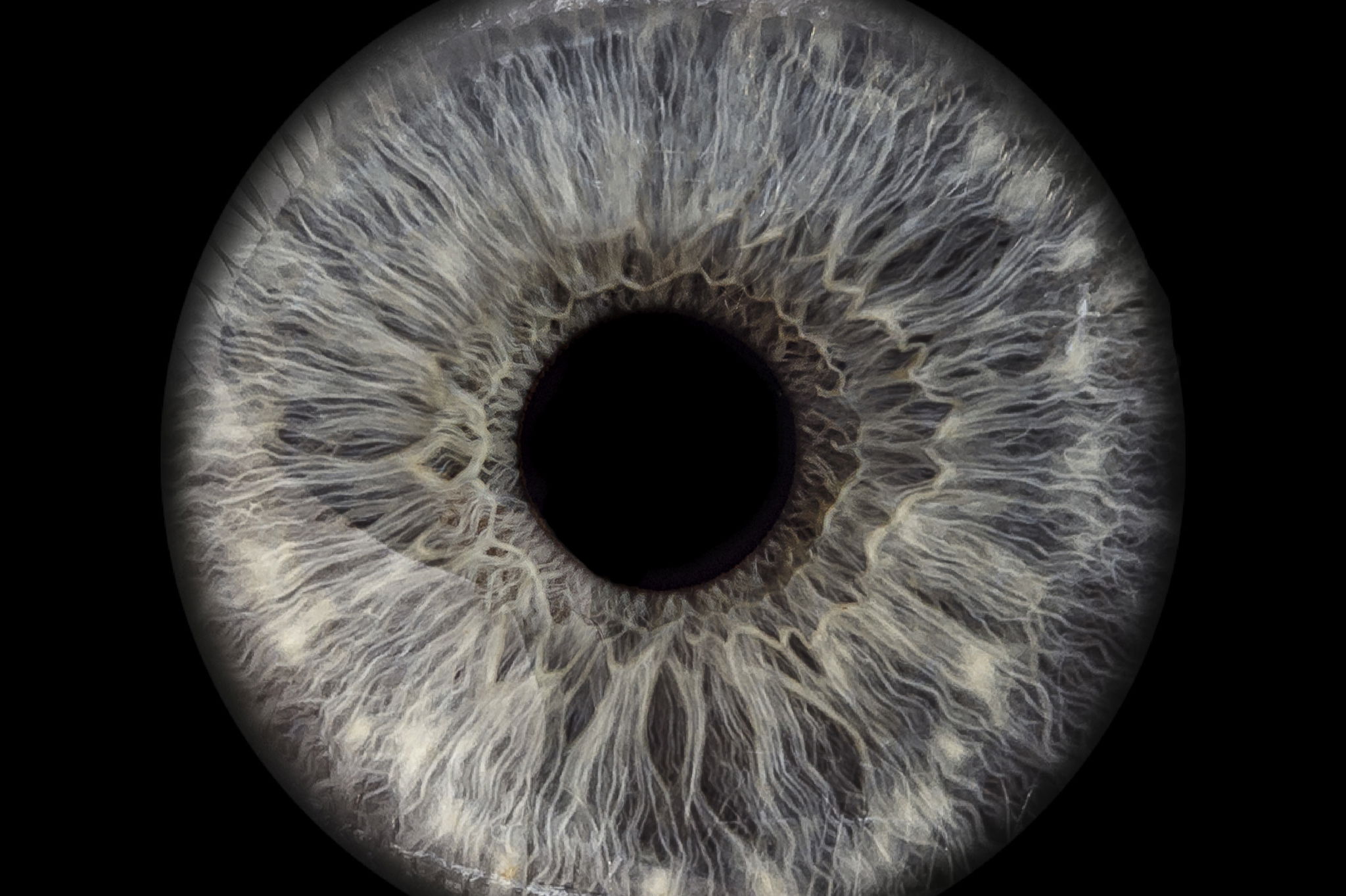 FOTOSTUDIO Winkelmann | BLICKWINKEL Fotografie