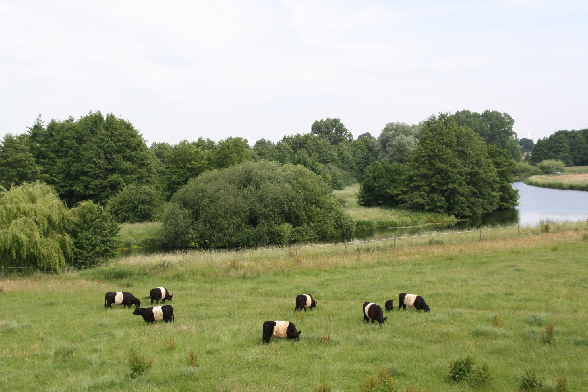Pries GbR - Vechtetal Weidefleisch