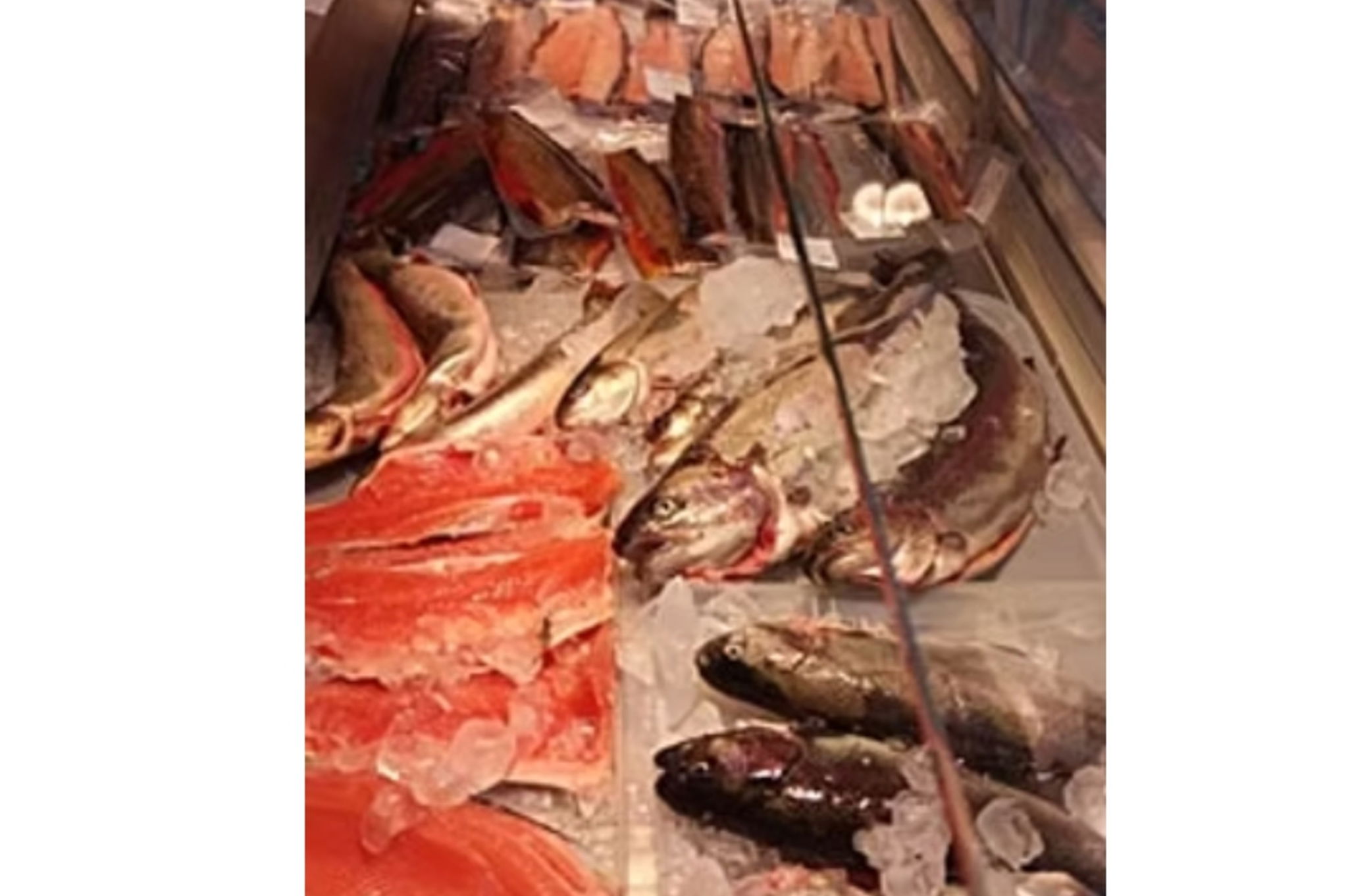 Forellenzucht Belser