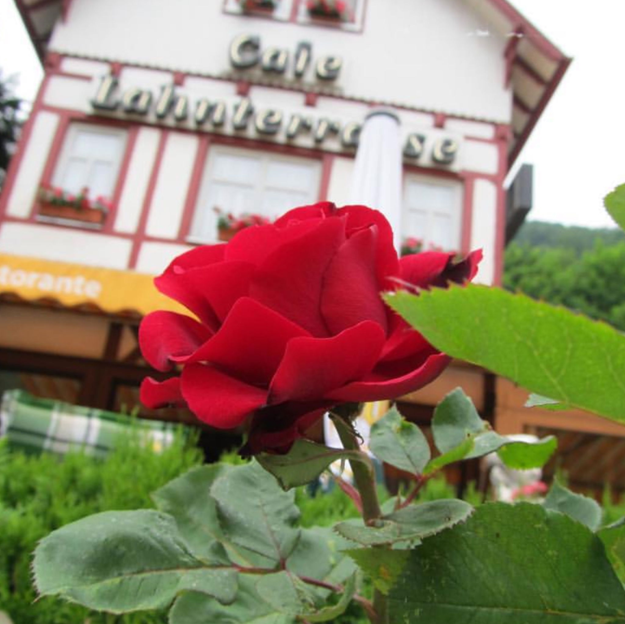 Restaurant Pizzeria Lahnterrasse