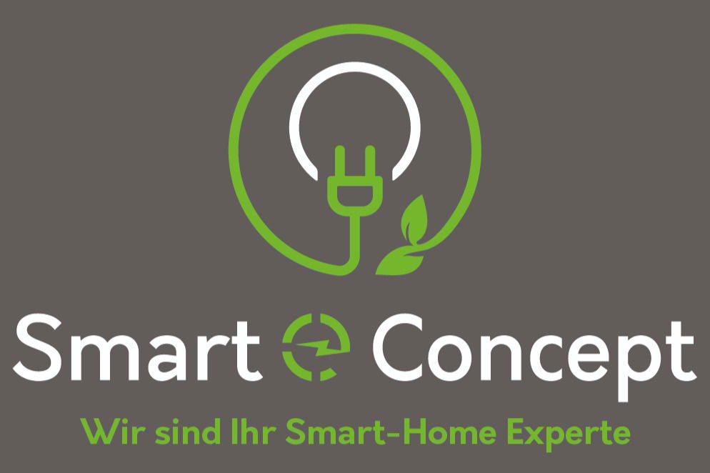 Smart e Concept
