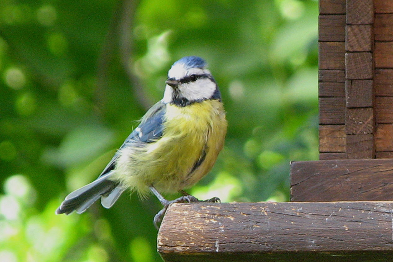 Wohnen & Design Hesemann