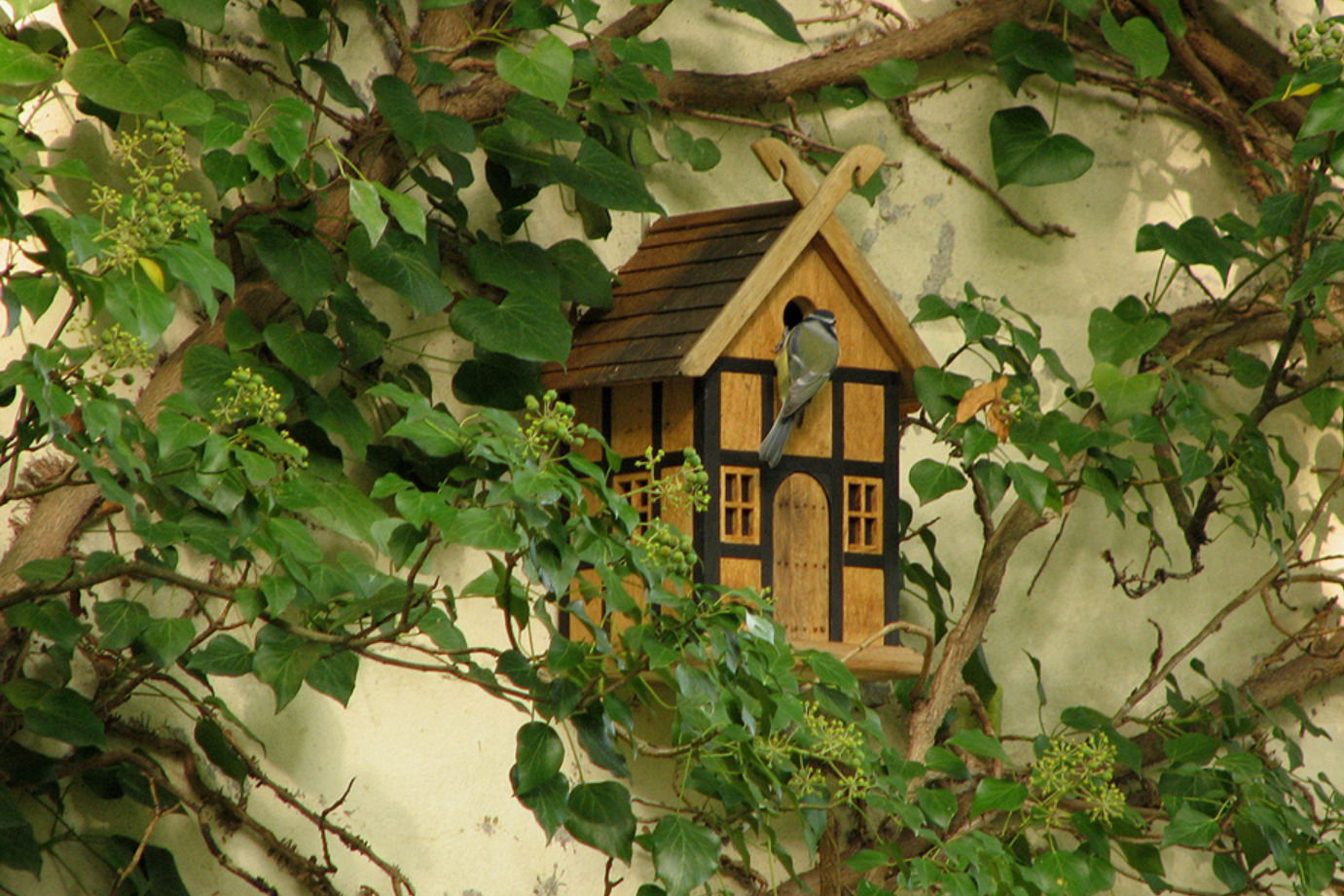 Wohnen & Design Hesemann