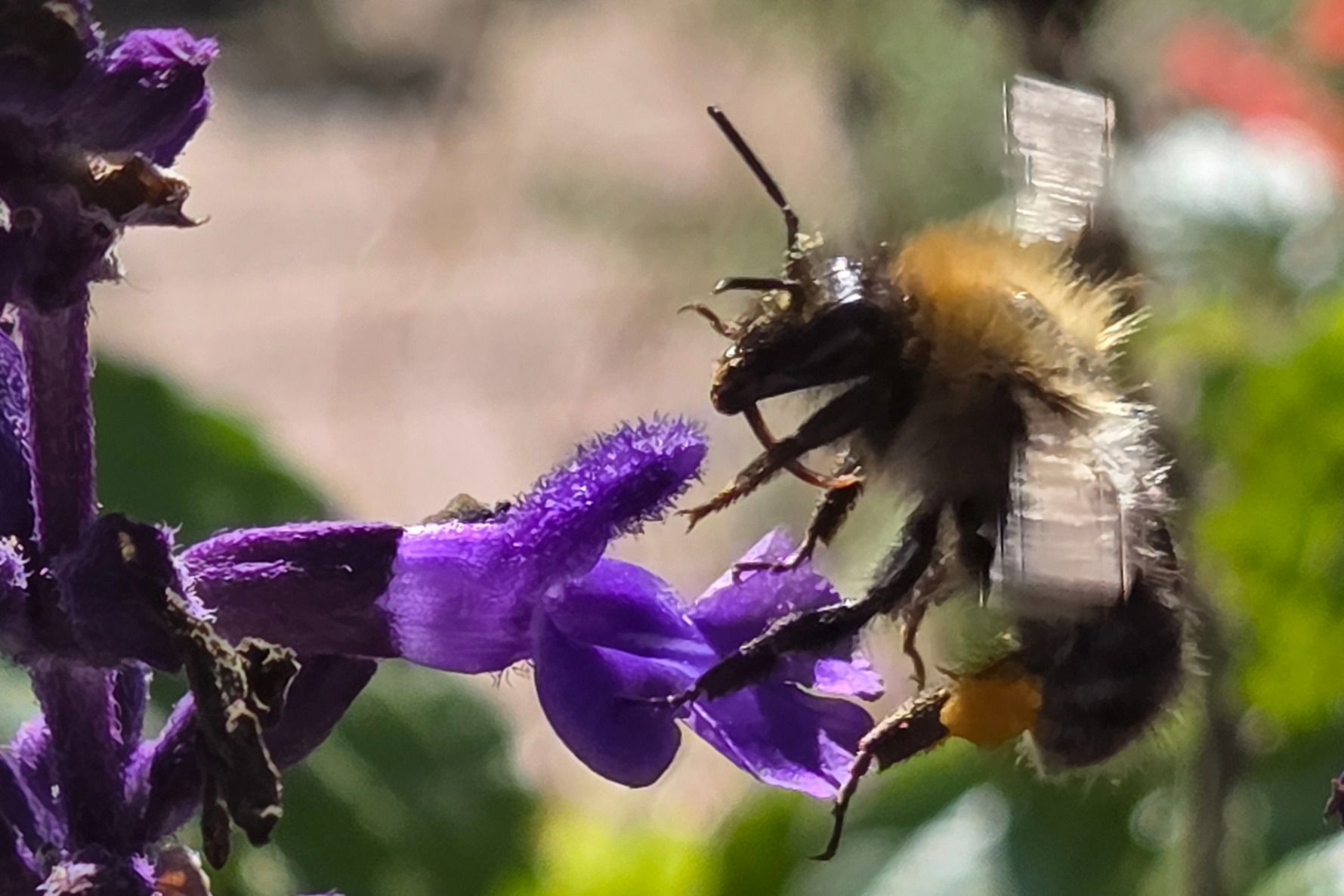 Pflanzenhof Schachtschneider