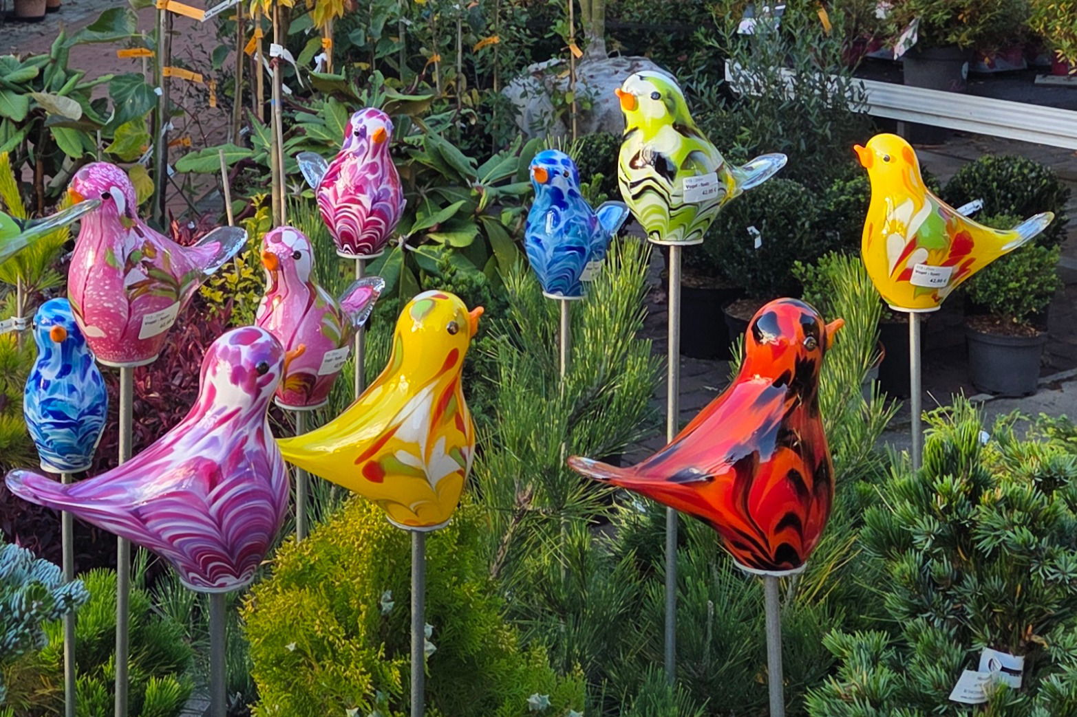 Pflanzenhof Schachtschneider