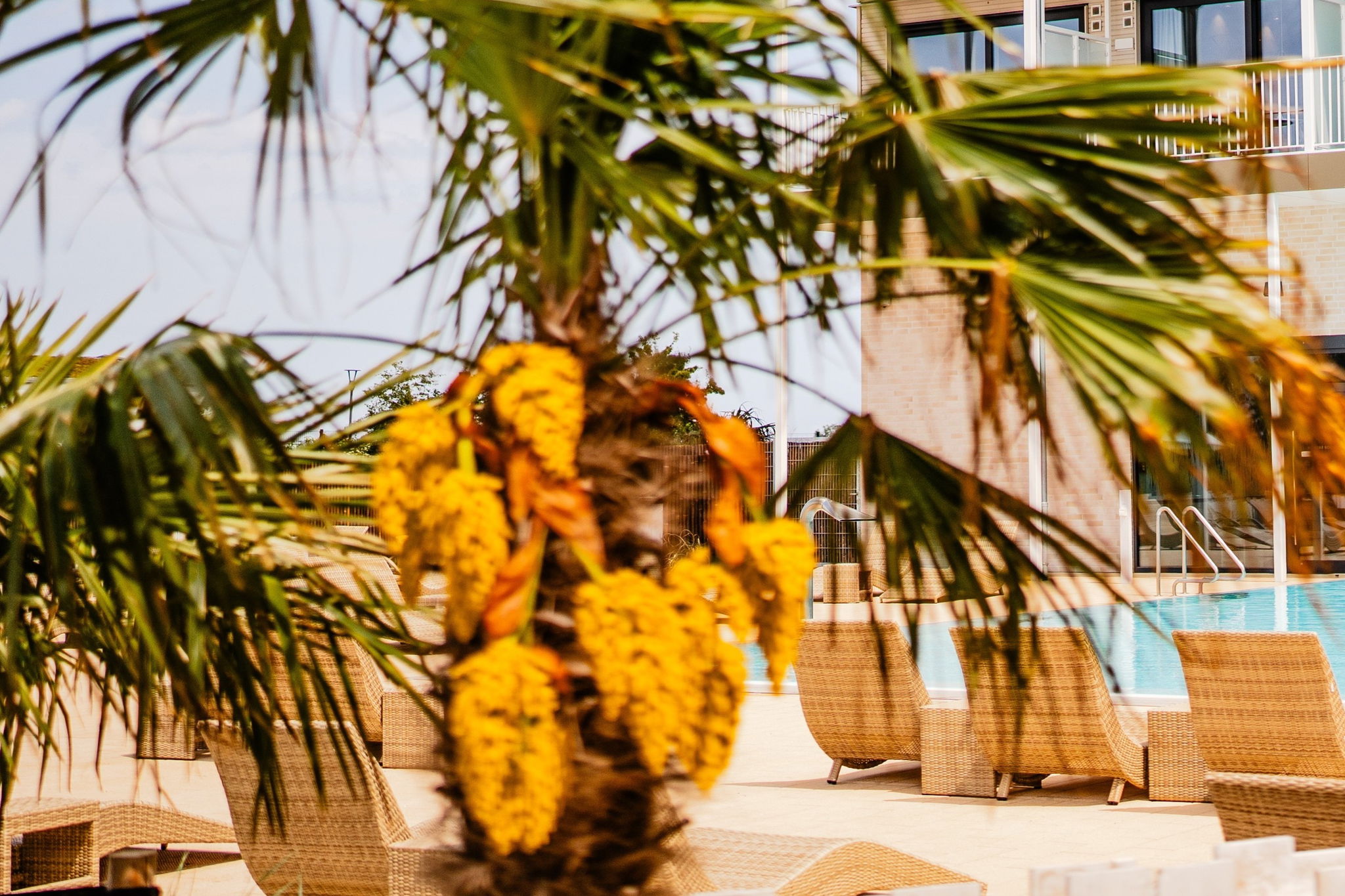 Slowdown Hotel und Spa