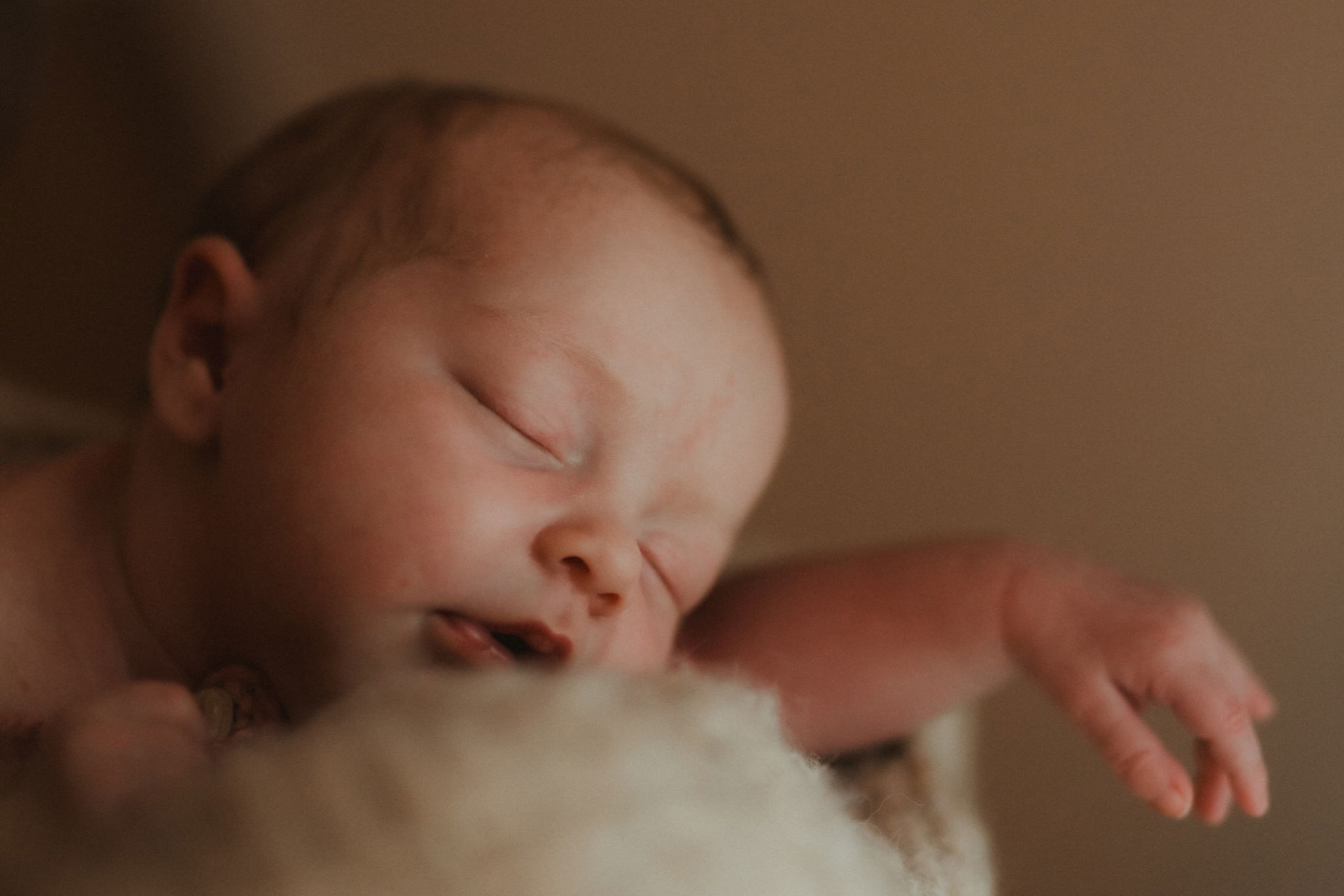 Fotografie - Laura Viermann