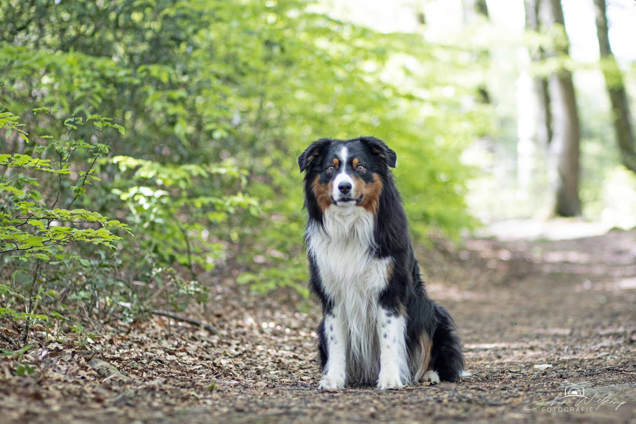 Sabine Wietkamp Portrait- und Tierfotografie
