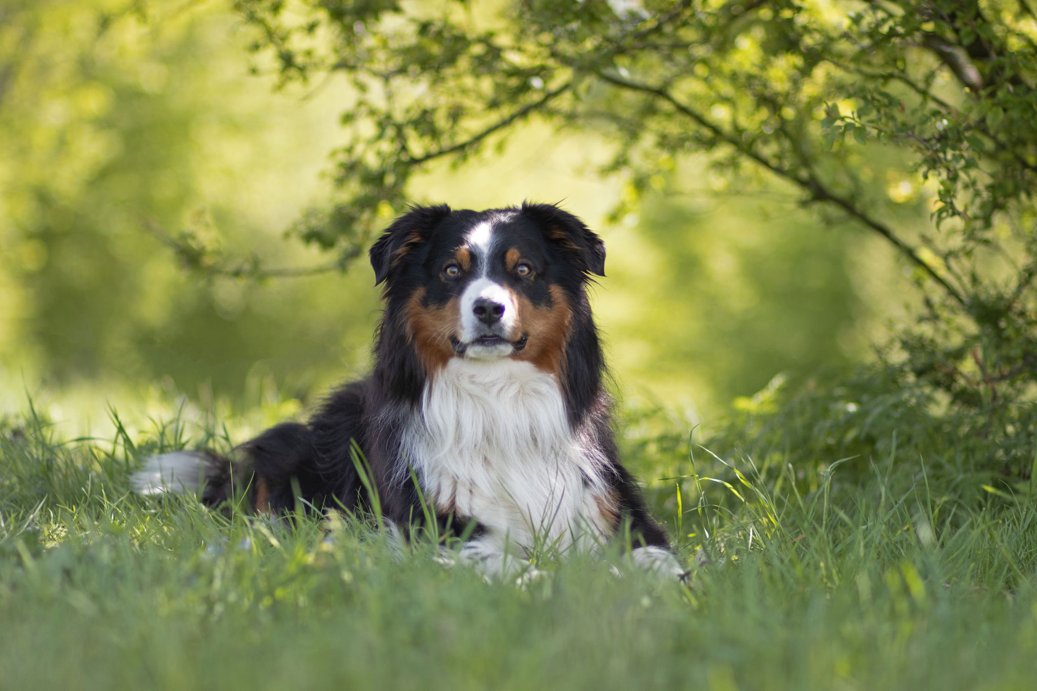 Sabine Wietkamp Portrait- und Tierfotografie