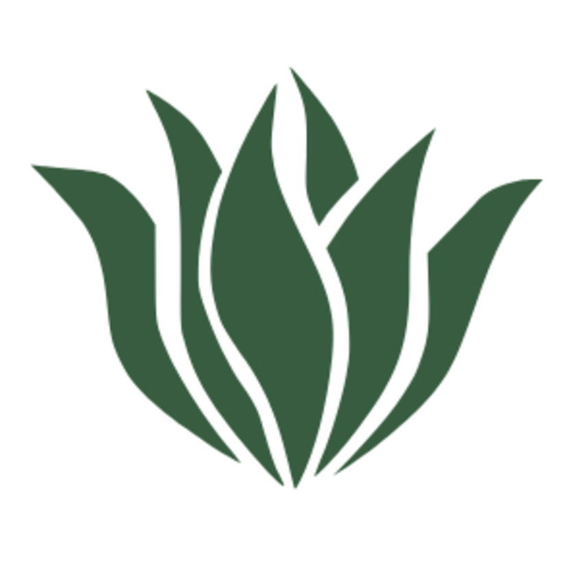 Blumen Boutique Olivia