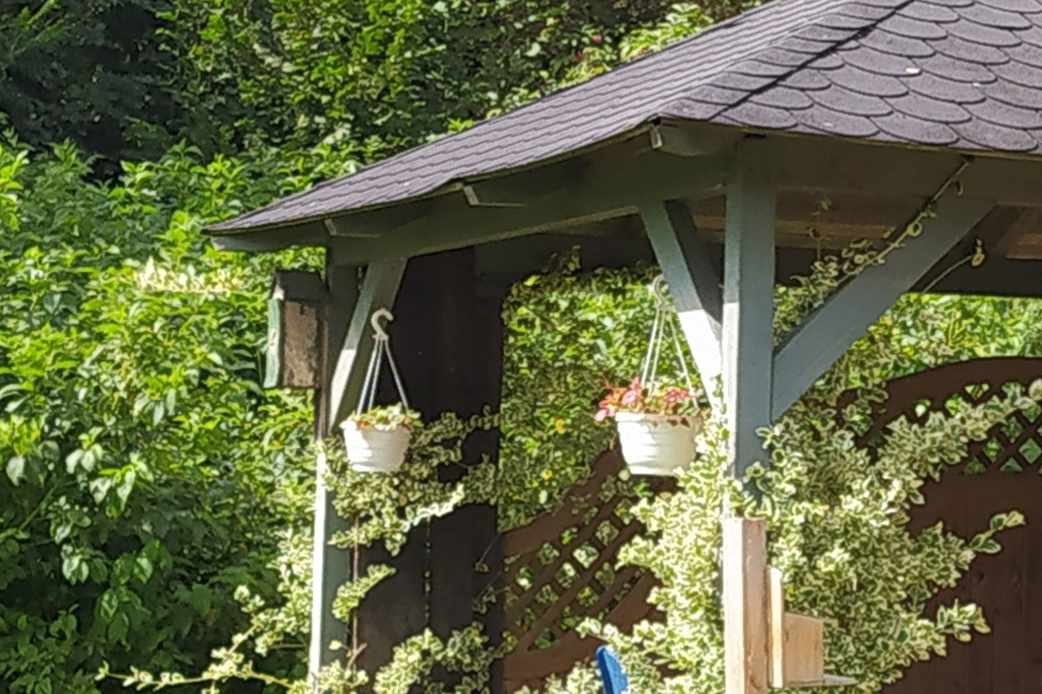 Mooroase Bauerngarten