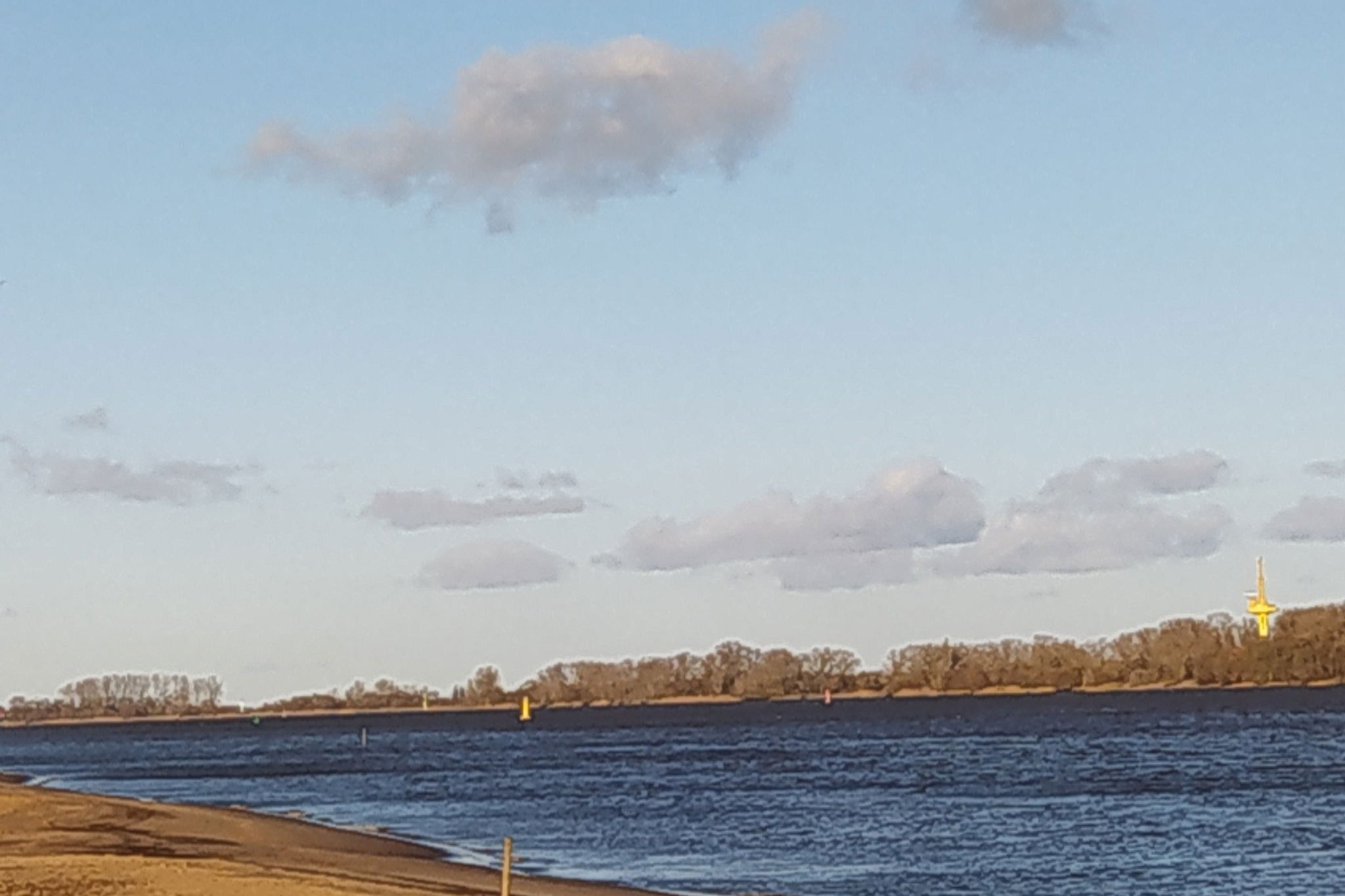 Mooroase Bauerngarten