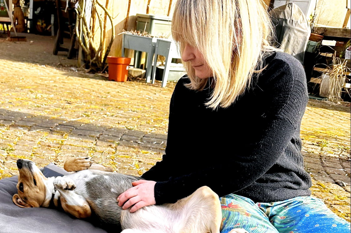 GesHUNDheit im Fokus - a part of Glückliche Hundepfoten title image