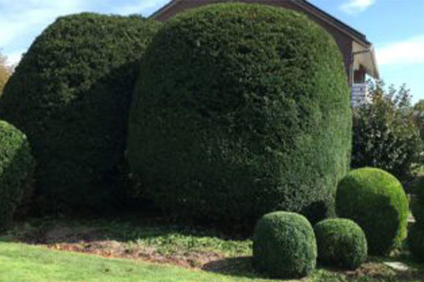 Garten- und Landschaftsbau Sebastian Pack